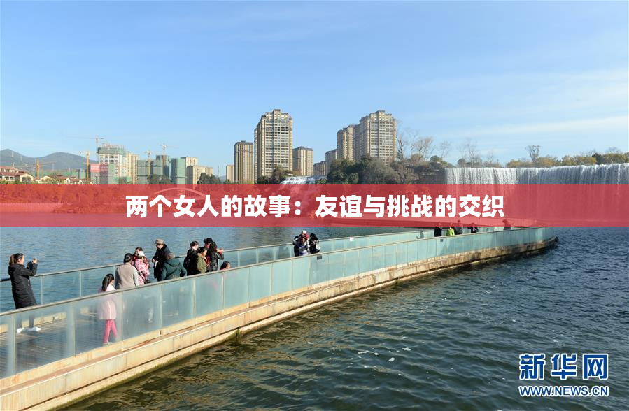 两个女人的故事：友谊与挑战的交织