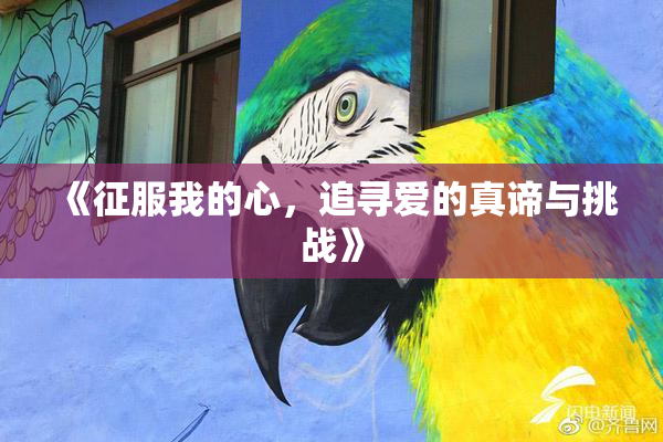 《征服我的心，追寻爱的真谛与挑战》