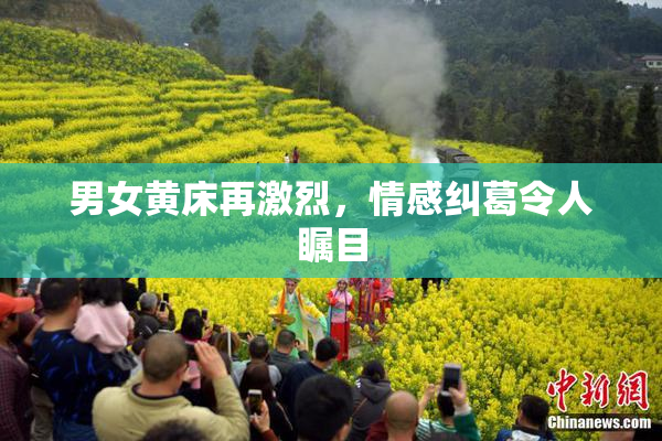 男女黄床再激烈，情感纠葛令人瞩目