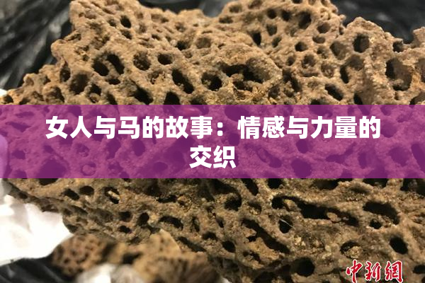 女人与马的故事：情感与力量的交织