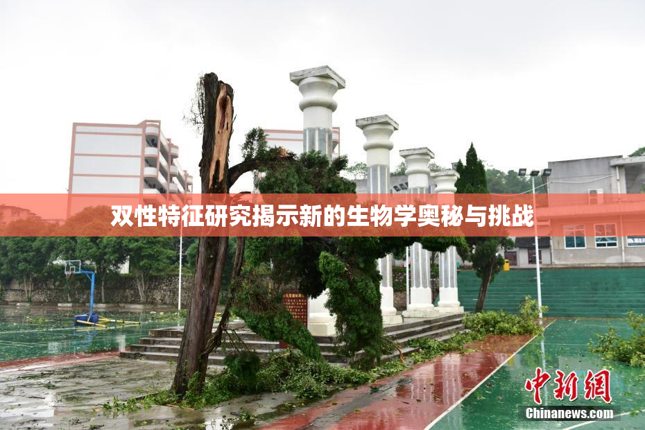 双性特征研究揭示新的生物学奥秘与挑战