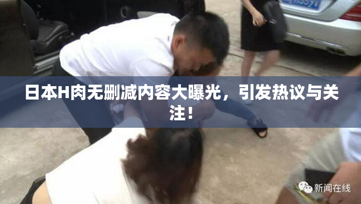 日本H肉无删减内容大曝光，引发热议与关注！