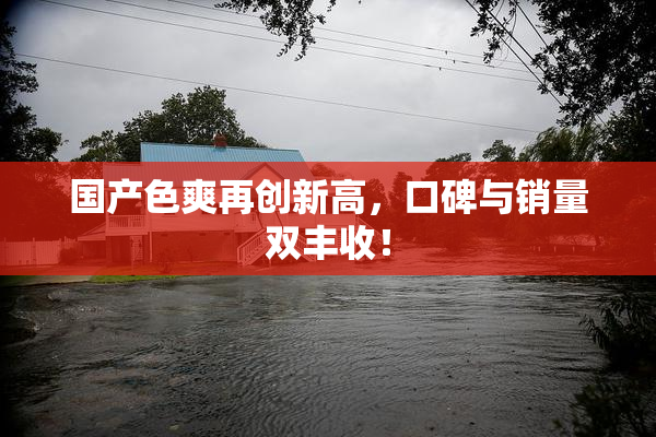 国产色爽再创新高，口碑与销量双丰收！