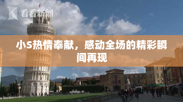 小S热情奉献，感动全场的精彩瞬间再现