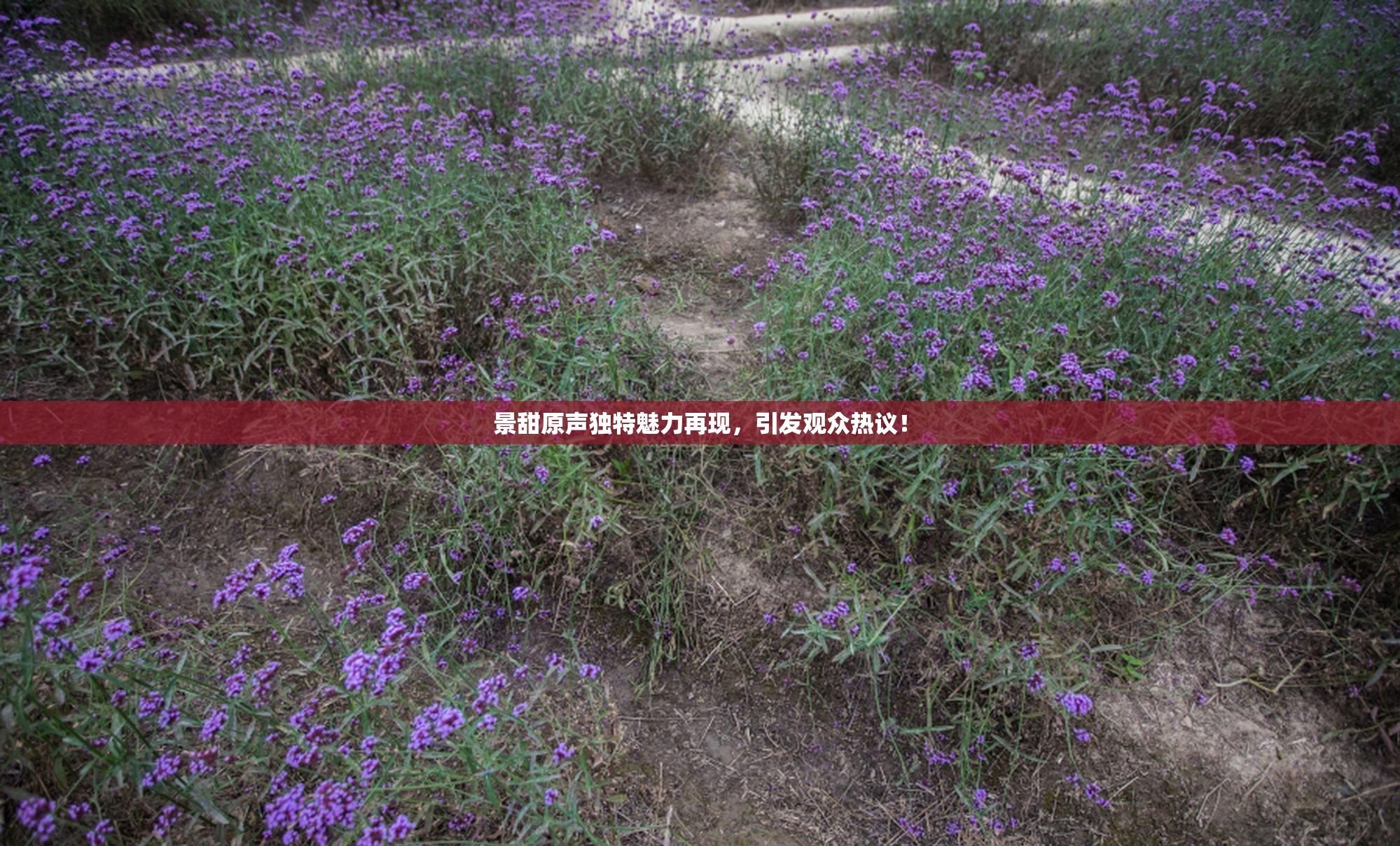 景甜原声独特魅力再现，引发观众热议！