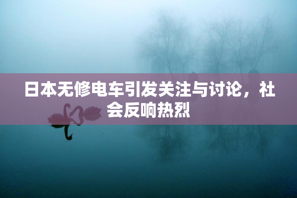 日本无修电车引发关注与讨论，社会反响热烈