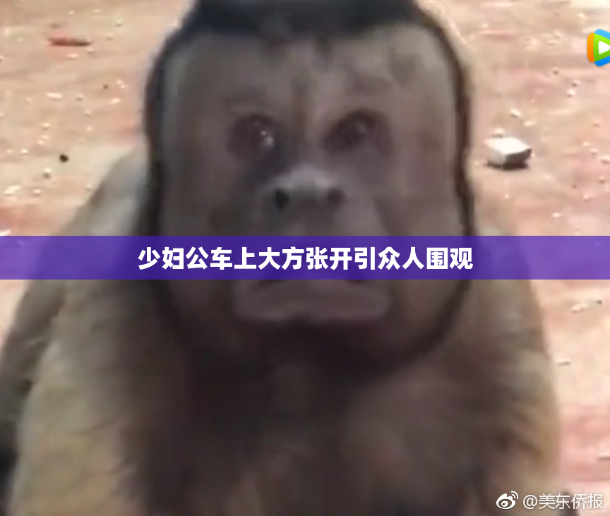 少妇公车上大方张开引众人围观
