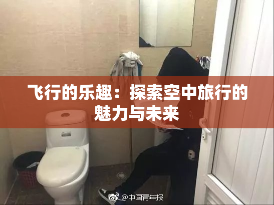 飞行的乐趣：探索空中旅行的魅力与未来