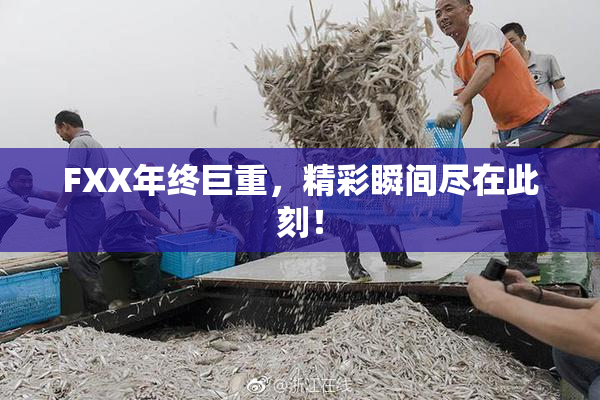 FXX年终巨重，精彩瞬间尽在此刻！