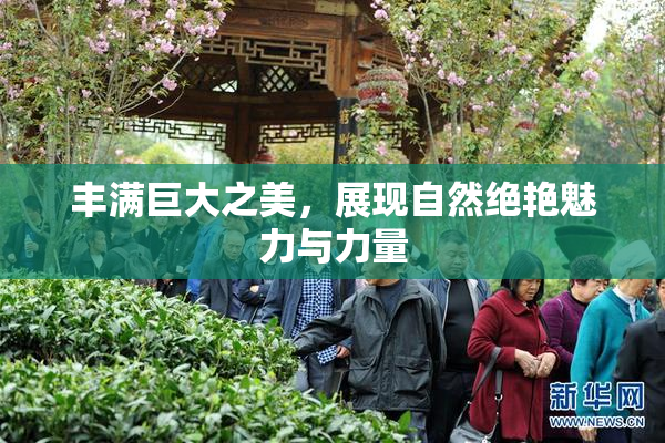 丰满巨大之美，展现自然绝艳魅力与力量
