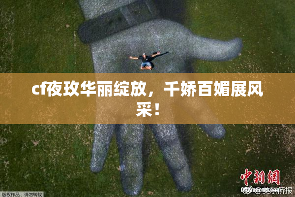 cf夜玫华丽绽放，千娇百媚展风采！