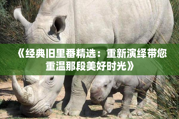 《经典旧里番精选：重新演绎带您重温那段美好时光》
