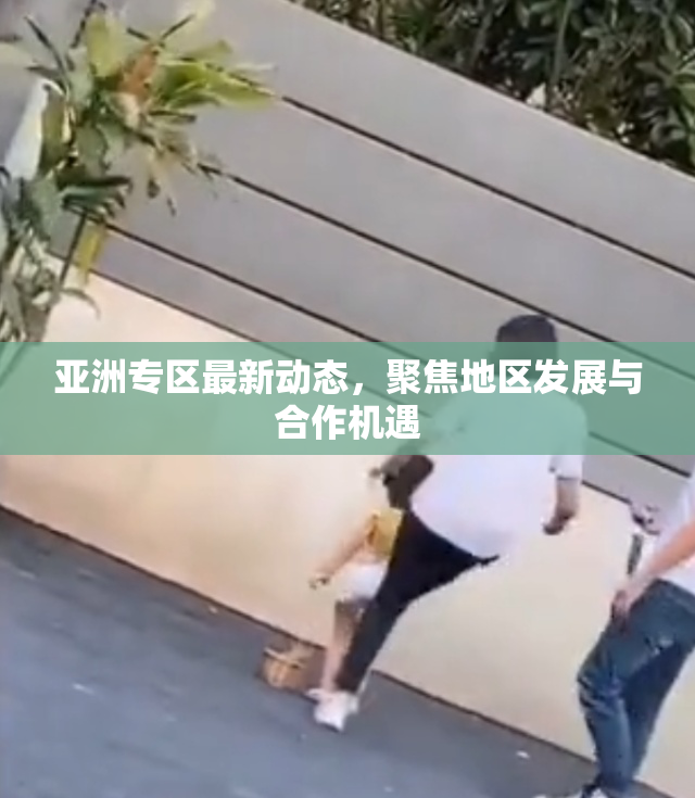 亚洲专区最新动态，聚焦地区发展与合作机遇
