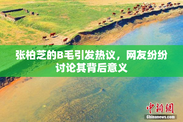 张柏芝的B毛引发热议，网友纷纷讨论其背后意义