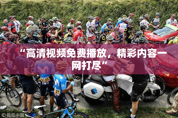 “高清视频免费播放，精彩内容一网打尽”