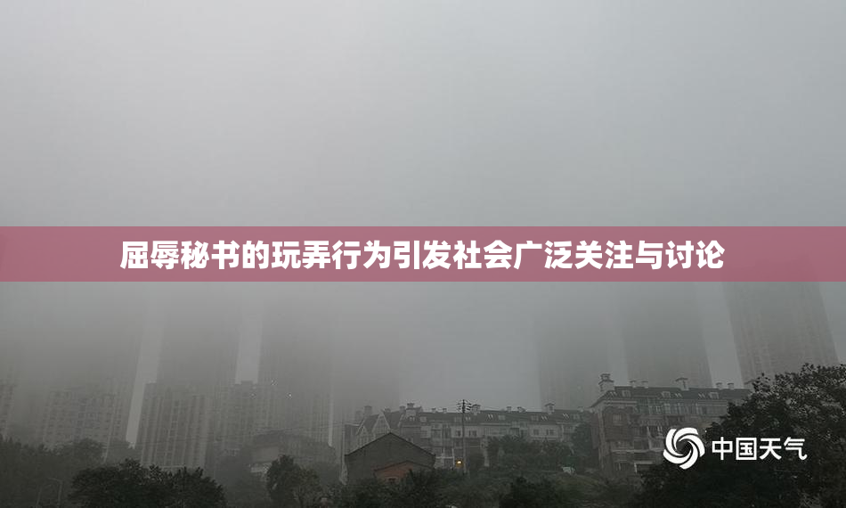 屈辱秘书的玩弄行为引发社会广泛关注与讨论