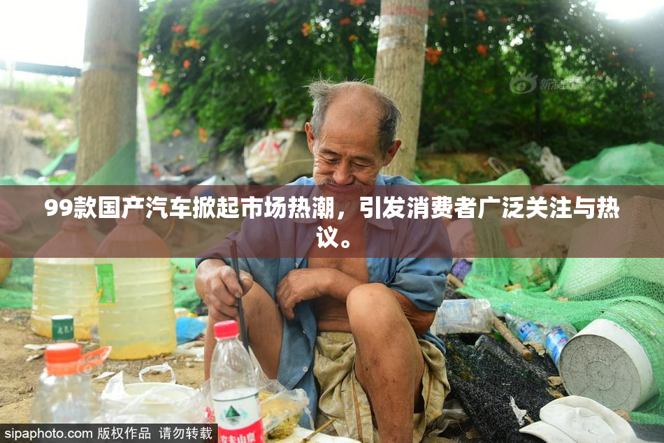 99款国产汽车掀起市场热潮，引发消费者广泛关注与热议。