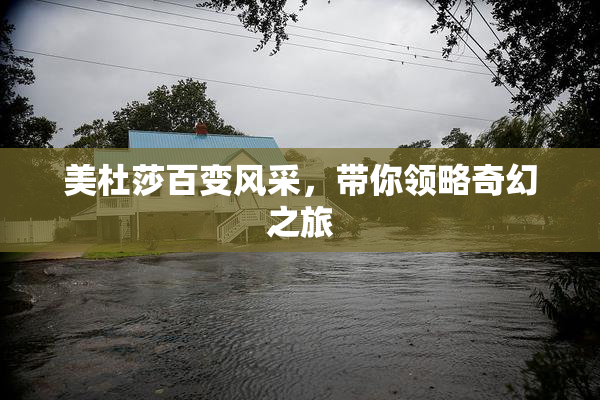 美杜莎百变风采，带你领略奇幻之旅