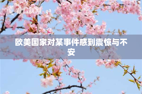 欧美国家对某事件感到震惊与不安