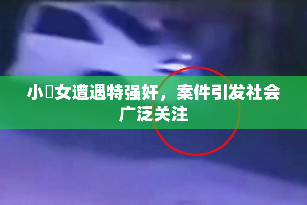 小處女遭遇特强奸，案件引发社会广泛关注