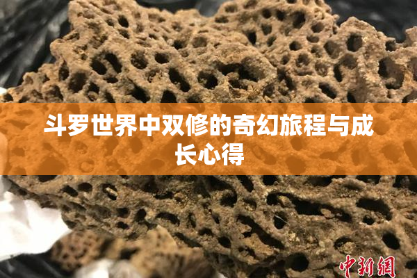 斗罗世界中双修的奇幻旅程与成长心得