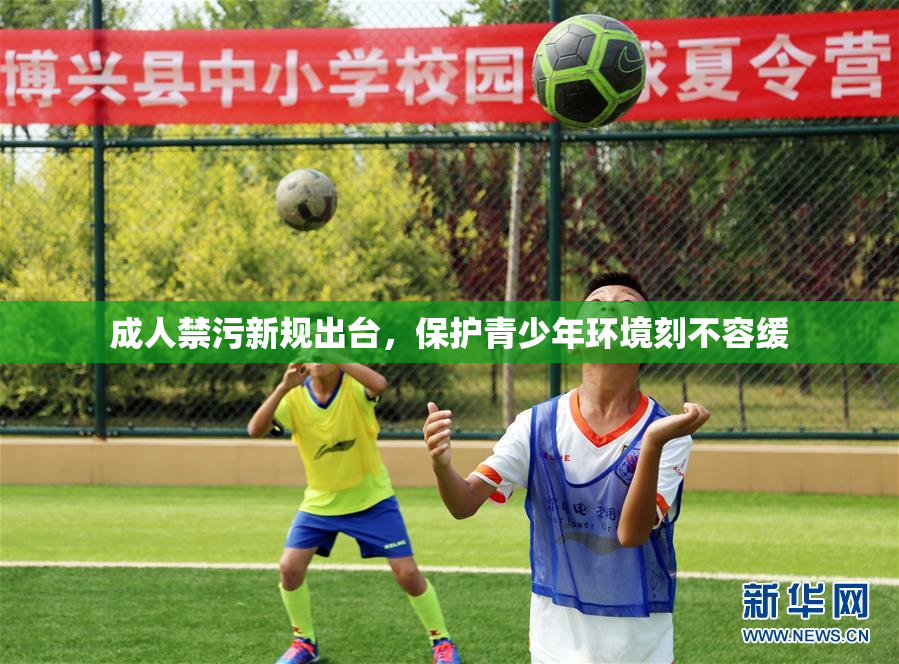 成人禁污新规出台，保护青少年环境刻不容缓