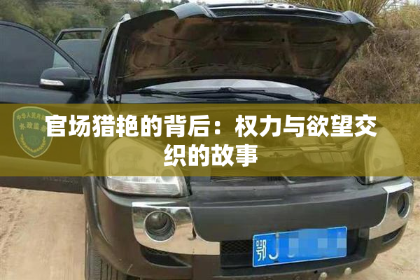 官场猎艳的背后：权力与欲望交织的故事