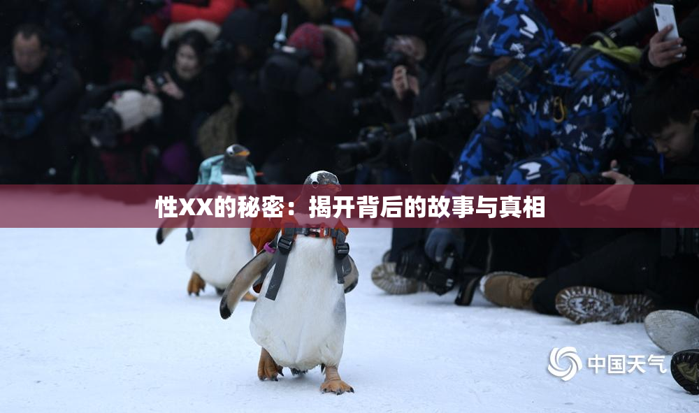 性XX的秘密：揭开背后的故事与真相