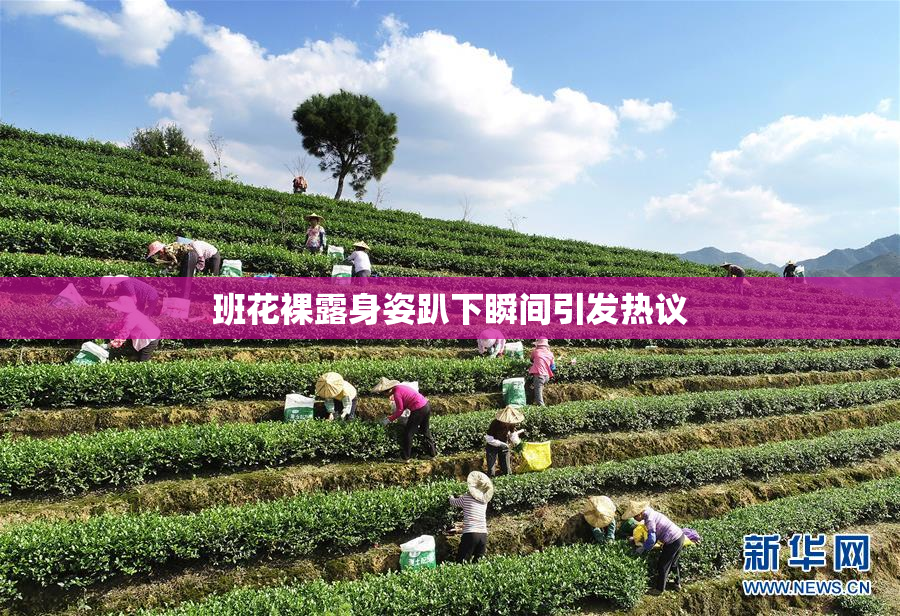 班花裸露身姿趴下瞬间引发热议