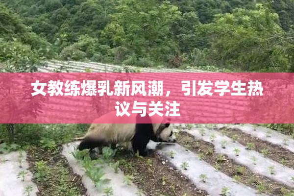 女教练爆乳新风潮，引发学生热议与关注