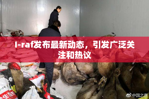 I-raf发布最新动态，引发广泛关注和热议