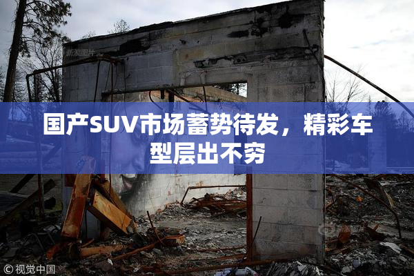 国产SUV市场蓄势待发，精彩车型层出不穷