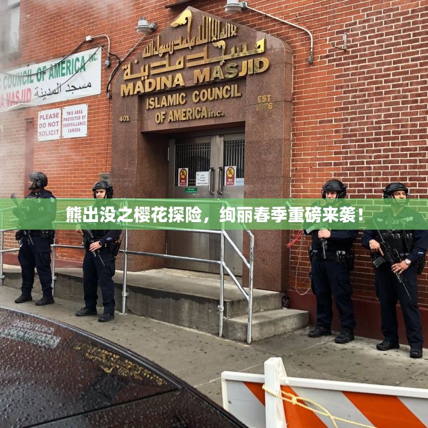 熊出没之樱花探险，绚丽春季重磅来袭！