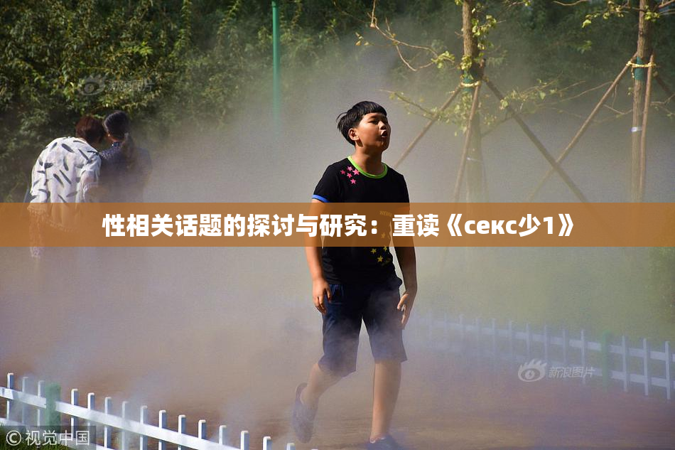 性相关话题的探讨与研究：重读《секс少1》