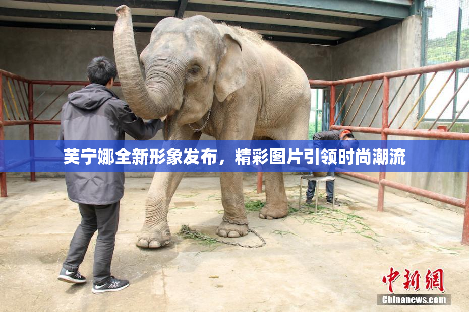 芙宁娜全新形象发布，精彩图片引领时尚潮流