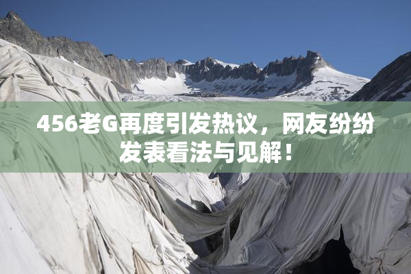 456老G再度引发热议，网友纷纷发表看法与见解！