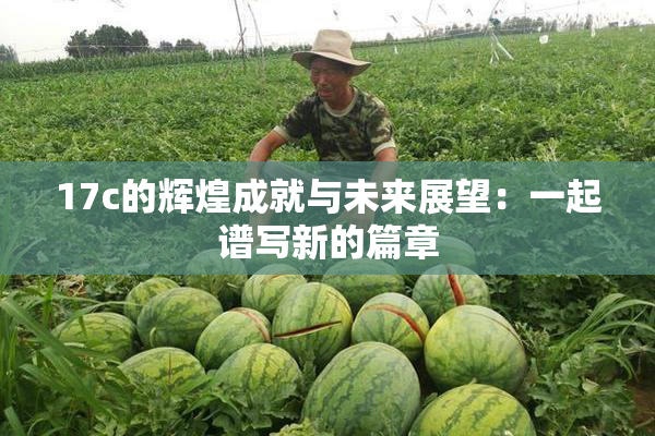 17c的辉煌成就与未来展望：一起谱写新的篇章