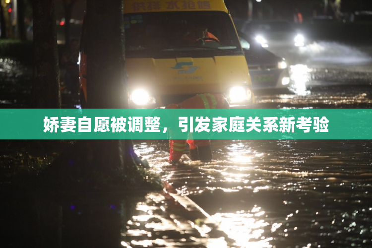 娇妻自愿被调整，引发家庭关系新考验