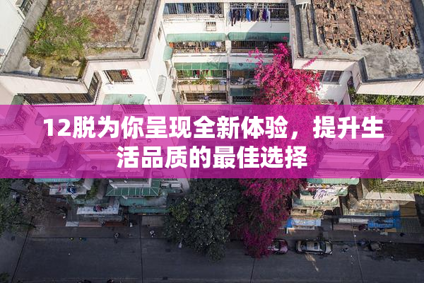 12脱为你呈现全新体验，提升生活品质的最佳选择