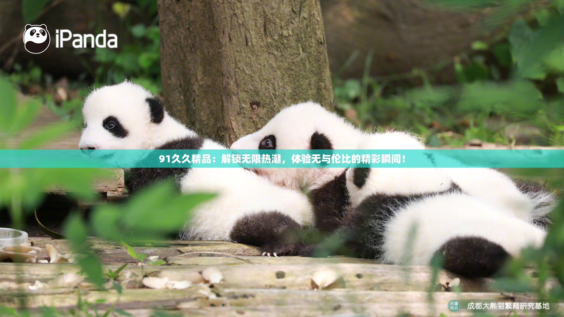 91久久精品：解锁无限热潮，体验无与伦比的精彩瞬间！