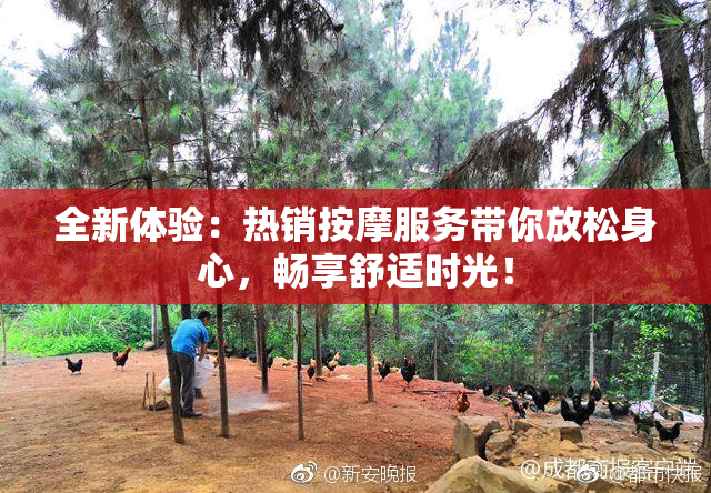 全新体验：热销按摩服务带你放松身心，畅享舒适时光！
