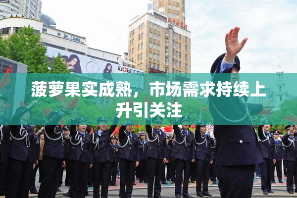 菠萝果实成熟，市场需求持续上升引关注