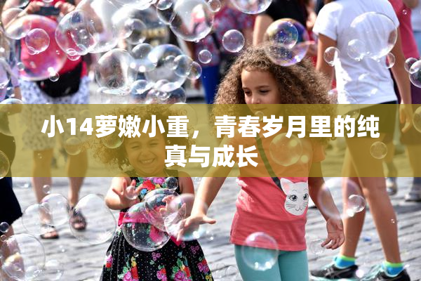 小14萝嫩小重，青春岁月里的纯真与成长
