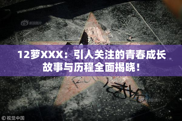 12萝XXX：引人关注的青春成长故事与历程全面揭晓！