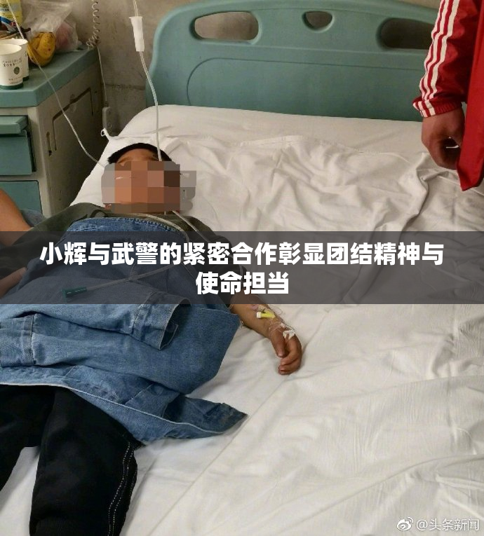 小辉与武警的紧密合作彰显团结精神与使命担当