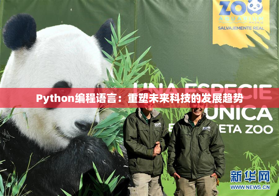Python编程语言：重塑未来科技的发展趋势