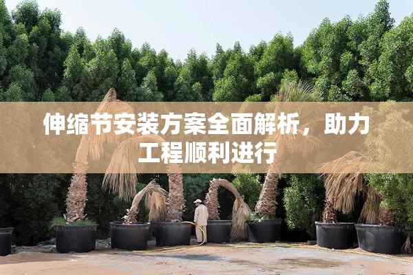 伸缩节安装方案全面解析，助力工程顺利进行