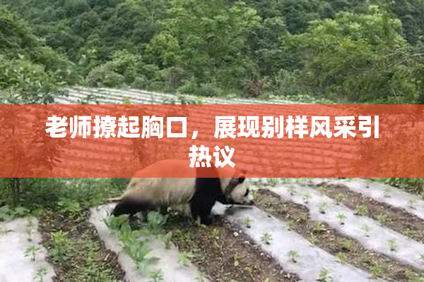 老师撩起胸口，展现别样风采引热议
