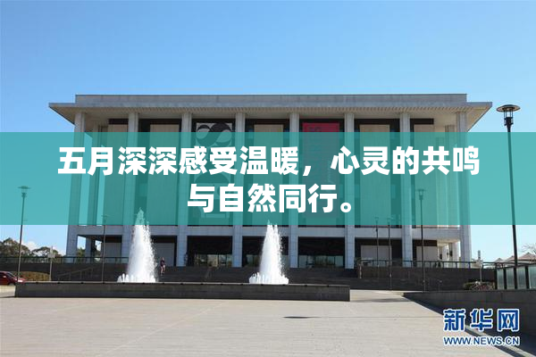 五月深深感受温暖，心灵的共鸣与自然同行。