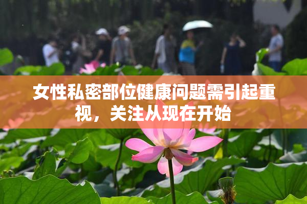 女性私密部位健康问题需引起重视，关注从现在开始